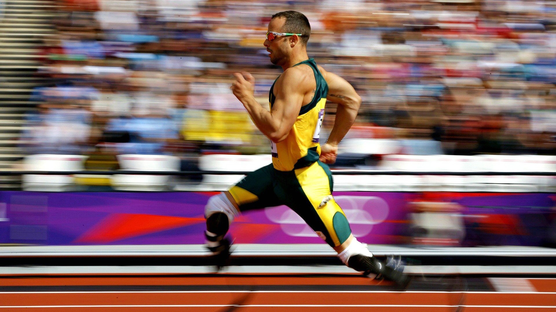 瑞士男队自由泳表现稳健，瑞士游泳